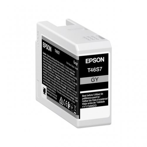 Blækpaptron Epson grå T46S 7