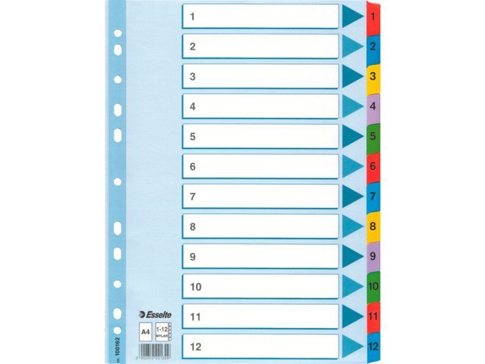 Esselte Mylar Register A4 1-12 flerfarvet